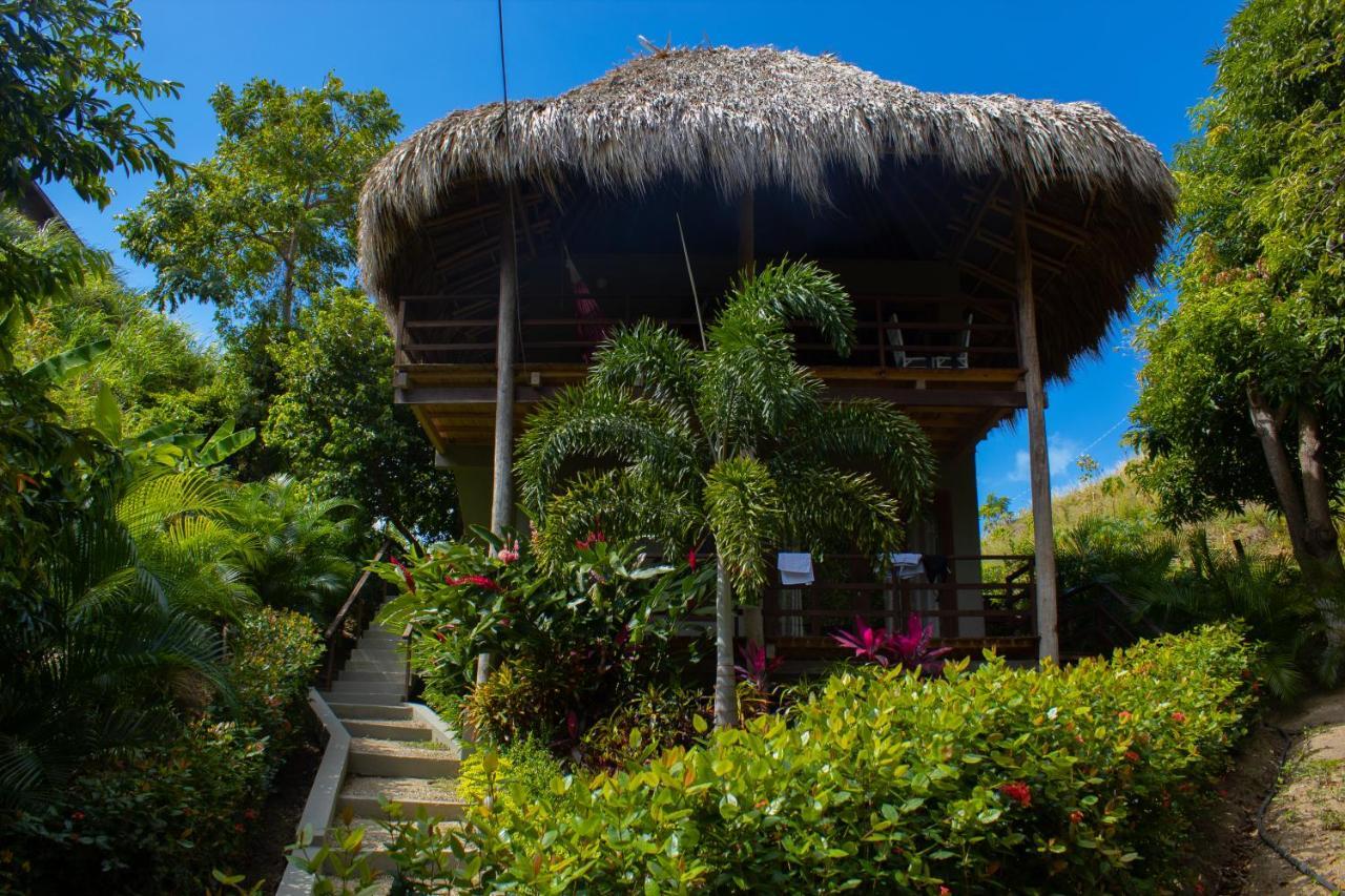 Hotel Isabella Tayrona 洛斯纳兰霍斯 外观 照片