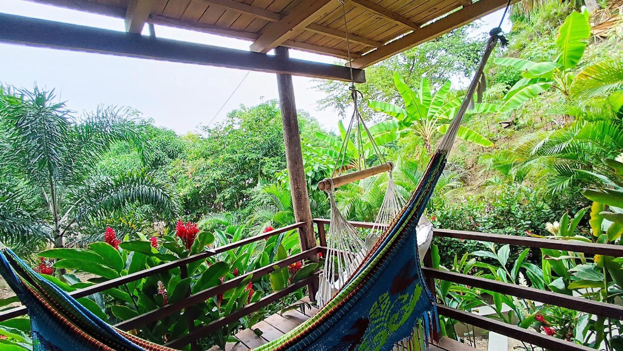 Hotel Isabella Tayrona 洛斯纳兰霍斯 外观 照片